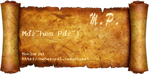 Méhes Pál névjegykártya